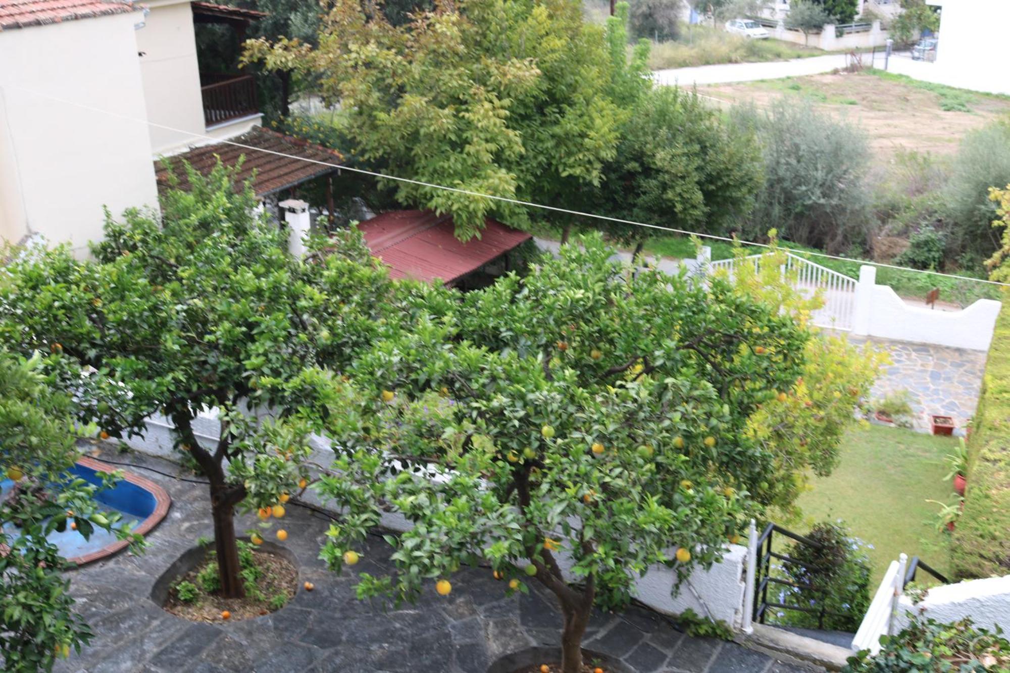 Villa Sofia Marathos  Exterior photo