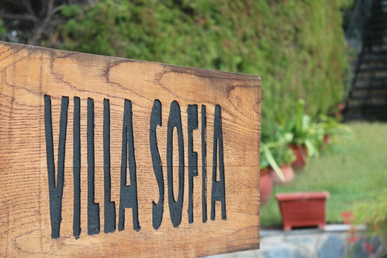Villa Sofia Marathos  Exterior photo