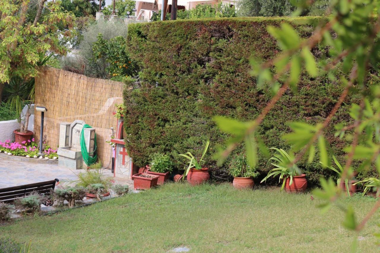 Villa Sofia Marathos  Exterior photo