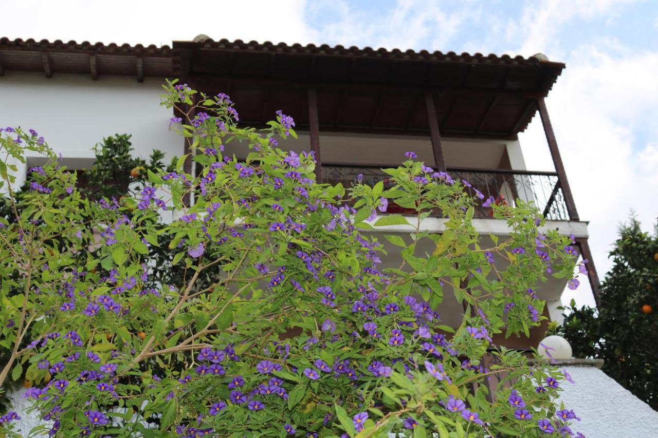 Villa Sofia Marathos  Exterior photo